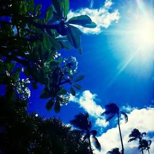 Meet your Posher, Ted